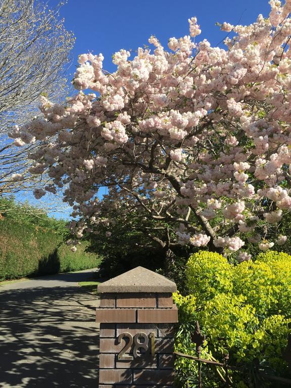 Rhododendron Garden Hotel ไครสต์เชิร์ช ภายนอก รูปภาพ