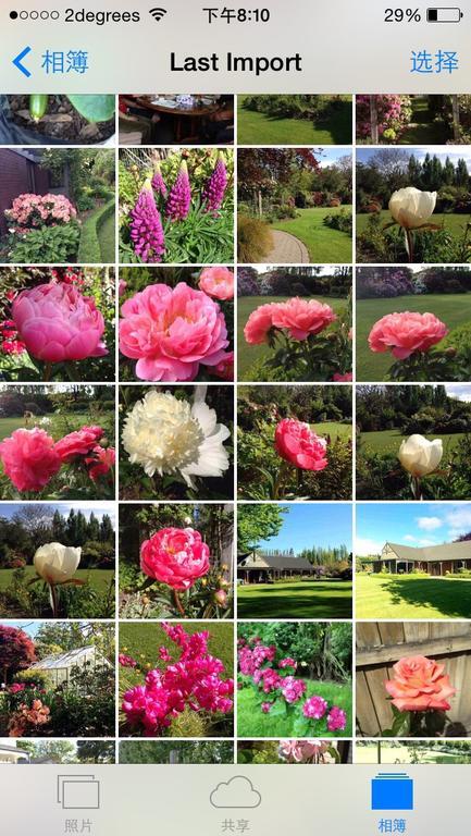 Rhododendron Garden Hotel ไครสต์เชิร์ช ภายนอก รูปภาพ