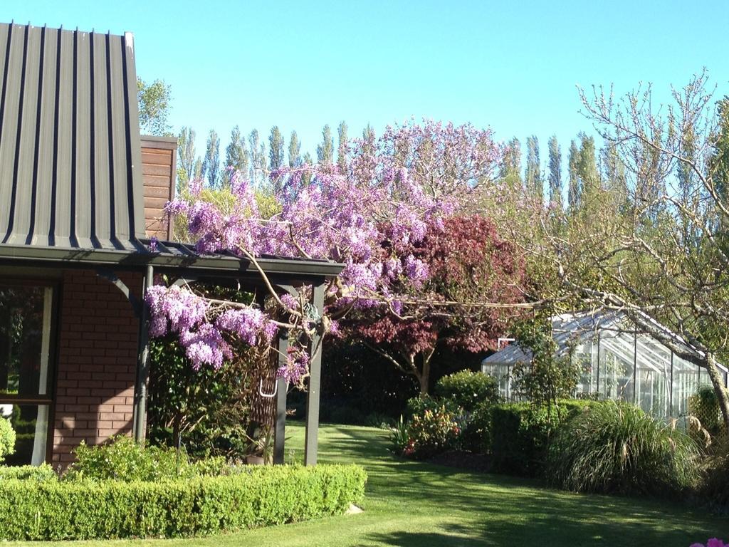 Rhododendron Garden Hotel ไครสต์เชิร์ช ห้อง รูปภาพ